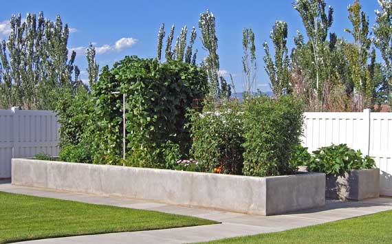 A picture of the garden in the corner of my lot