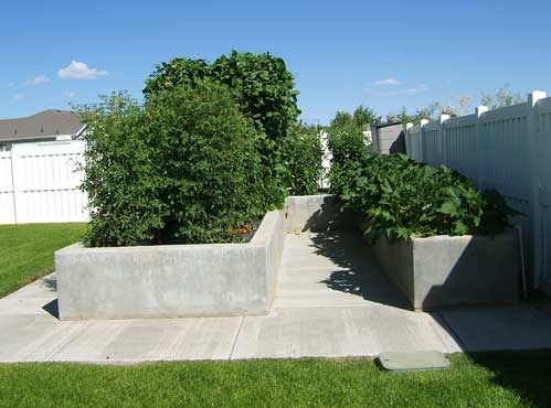 A picture of the garden from the side showing inside the "U"